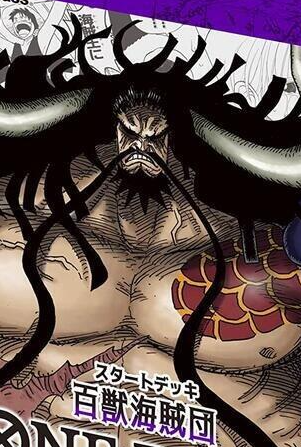 百獸海賊團